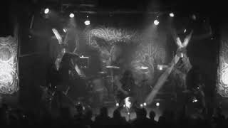WITTR - Born From The Serpent's Eye, live at Rex Theater. Short version.