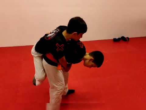 Nippon Kempo Kids (Summer)