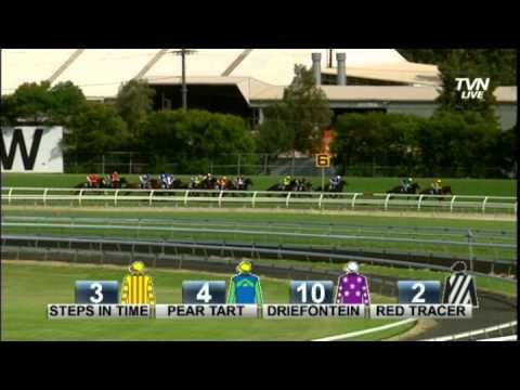 2013 Coolmore Classic -Appearance