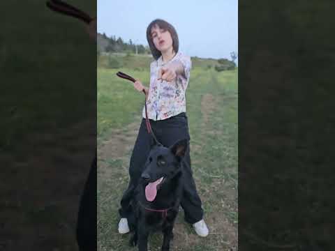 Mariam Bigvava (🇬🇪 JESC 2022) - Firefighter (🇬🇪 ESC 2024, by Nutsa Buzaladze)