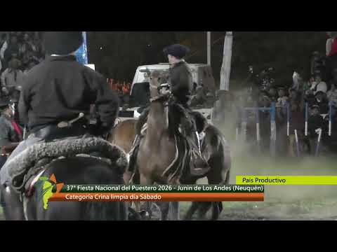 37° Fiesta Nacional del Puestero Junín de los Andes. Neuquén  Categoría Crina Limpia. Dia Sábado