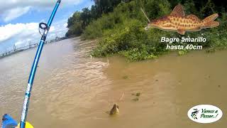 Una nueva salida de pesca, con Caracol de carnada..!