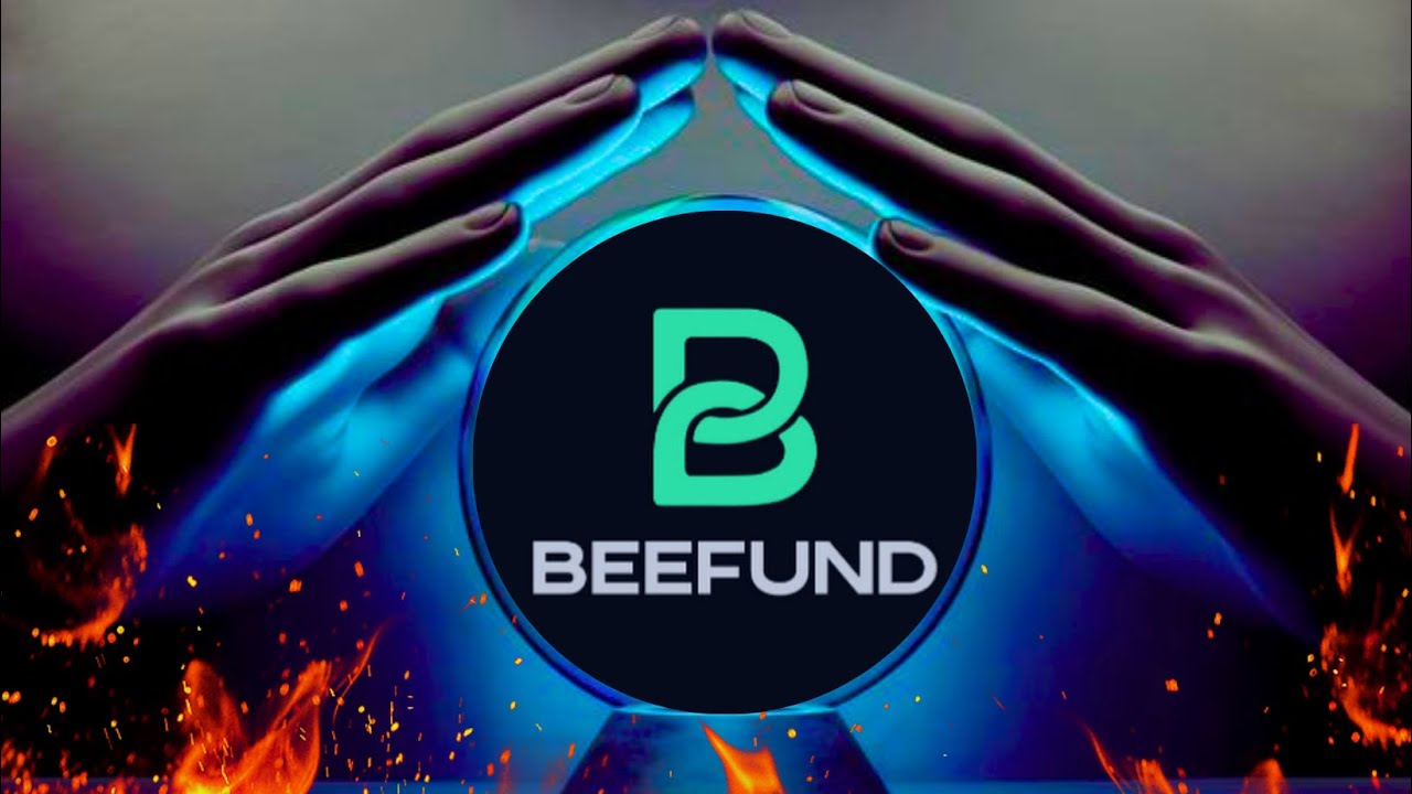 BEEFUND PARTE#2 : ANALISANDO A PLATAFORMA ! O QUE É  "COPY TRADING"  ? É SEGURO
