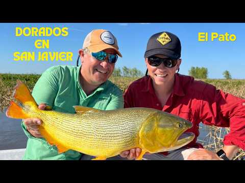PESCA DE DORADOS GOLDEN DORADO RIVER CRUISER (San Javier - Santa Fe)