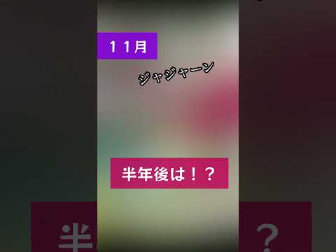 家の前の花壇: あなたの敷地の前に花を咲かせるための私たちのアイデアのすべて  庭園