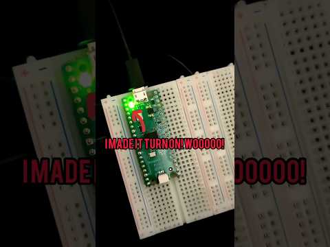 Flip That Noise - Puppet Show Work in Progress.