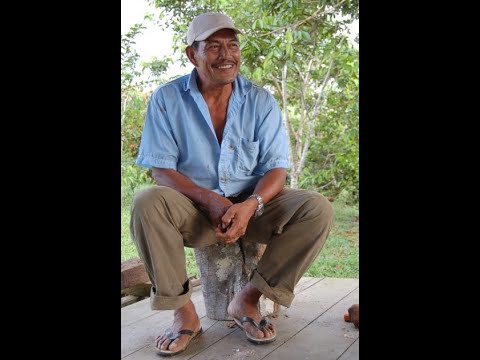 Ayahuasca Icaro by Don Pedro Guerra Gonzales .. Shamanic Songs