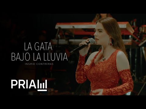 Ingrid Contreras - La Gata Bajo La Lluvia  (En Vivo)