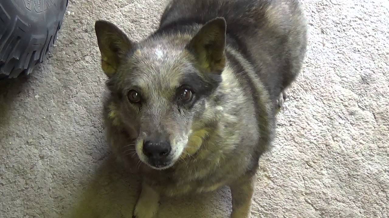 Power Supplies Part 2:  Full Wave Rectification