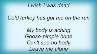 Lenny Kravitz - Cold Turkey Lyrics