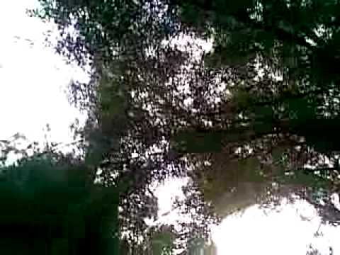 Garden of temptation.................. odes of ecstasy