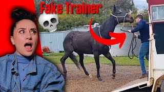 Fake It Until You Make It Horse &quot;Trainer&quot;