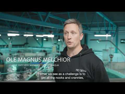 Sustainable Ozone Solution for Hofseth Aqua