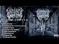 VIRULENT VASECTOMY Harum Scarum Full Album Stream 2021