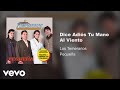 Los Temerarios - Dice Adiós Tu Mano Al Viento (Audio)