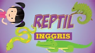 Belajar Mengenal Nama-nama Reptil dalam Bahasa Inggris | Bunbun Learning Reptile