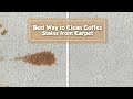 Best Way to Remove Coffee Stain from Carpet | STAIN FU