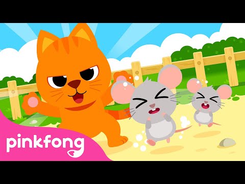 Meow! The Cat Song | Farm & Domestic Animals | Nursery Rhymes | Animal Songs | Pinkfong Songs