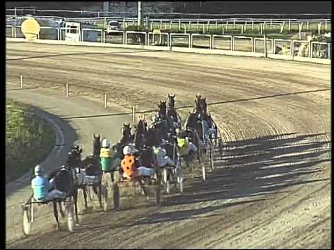 Trotto 29/03/2015 - 8° corsa