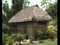 Vivir en la selva 