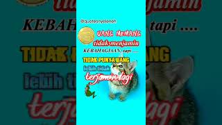 Download lagu kata bijak lucu UANG TIDAK MENJAMIN #shorts #katalucu #viral mp3
