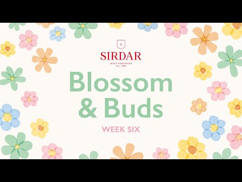 Sirdar Blossom & Buds Crochet Along: Week 6 - Pretty Borders