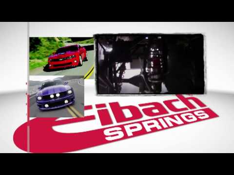 Eibach - Dirt Knights & Eibach Springs