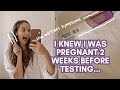 How I Knew I Was Pregnant Before A Positive Test Early Symptoms 3 DAYS After Conception