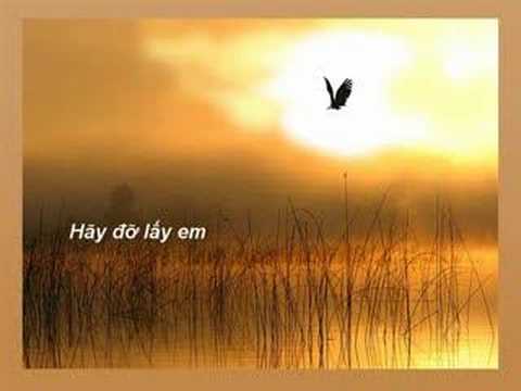 Thiên thần của em Sheet - Quỳnh Lan