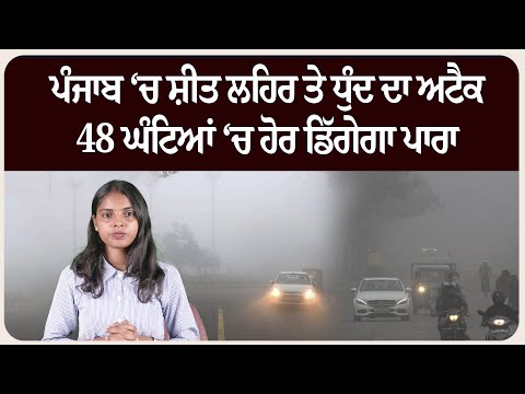 ਪੰਜਾਬ ‘ਚ ਸ਼ੀਤ ਲਹਿਰ ਤੇ ਧੁੰਦ ਦਾ ਅਟੈਕ; 48 ਘੰਟਿਆਂ ‘ਚ ਹੋਰ ਡਿੱਗੇਗਾ ਪਾਰਾ !