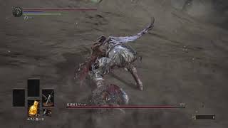 ２週目です