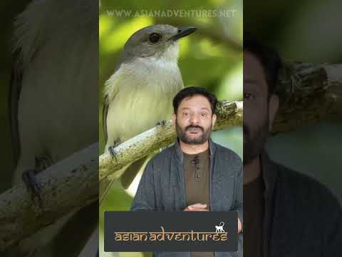 Sunderbans National Park