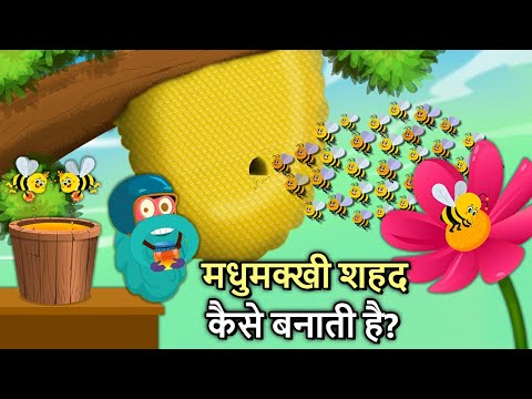 मधुमक्खी शहद कैसे बनाती है? | How Do Bees Make Honey In Hindi | Binocs Ki Duniya
