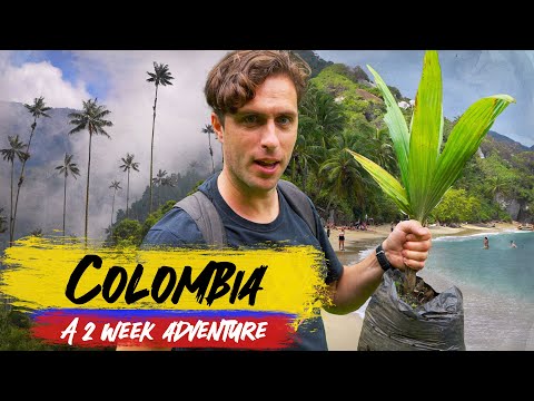COLOMBIA 🇨🇴 2 Week Adventure | Ep2: Salento, Cocora, Tayrona, Cartagena
