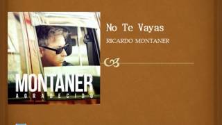 Ricardo Montaner - No Te Vayas (2014) Audio