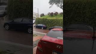 julio iglesias Fallaste corazón #suscribete 💔 #sansalvador #elsalvador