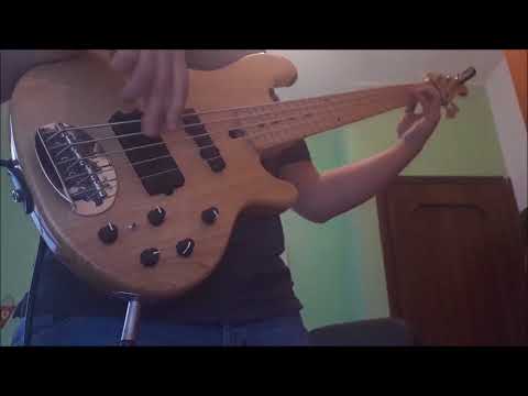 The Buggles - Video Kill The Radio Star (bass cover)
