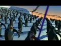 schiffie & Co pinguindans 