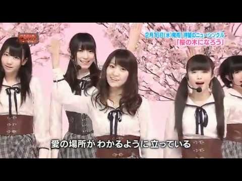 akb48   sakura no ki ni narou