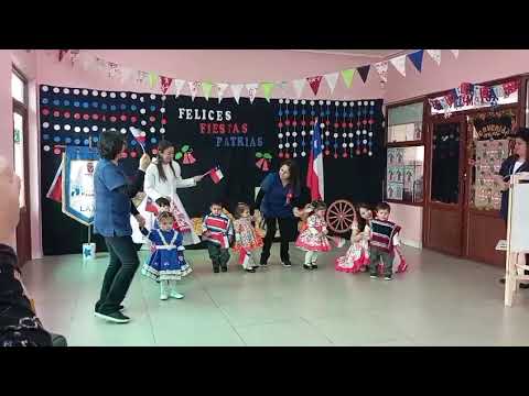 🇨🇱Cueca del Tutti Frutti, del Perro Chocolo