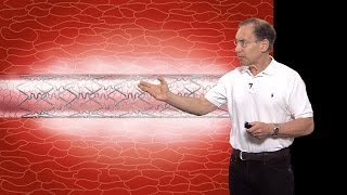Robert S. Langer (MIT) Part 1: Advances in Controlled Drug Release Technology: An Overview