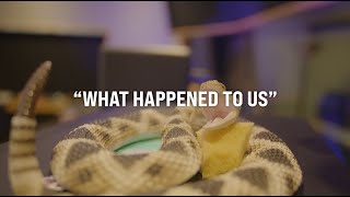 'The Reason' 20th Anniversary Track by Track | 3. "What Happened to Us?"