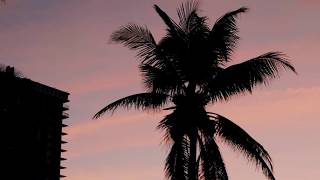 Damien Jurado- "Maraqopa"