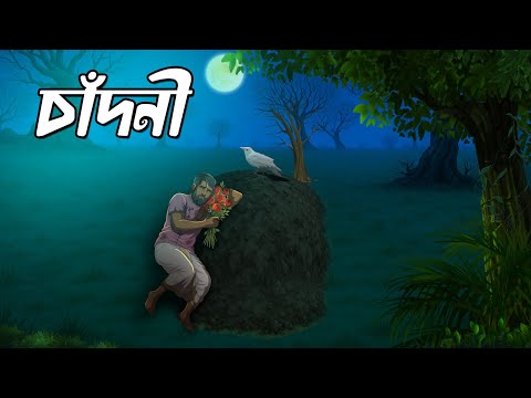 চাঁদনী | Chandni | Grambanglar Vuter Golpo | Thakumar jhuli | Bangla Cartoon