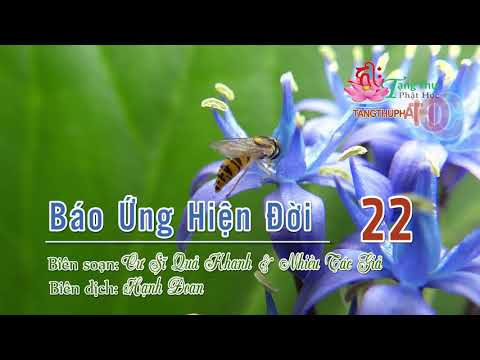 Báo Ứng Hiện Đời Tập IV - 5