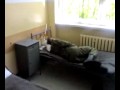 KARA W WOJSKU BRAK SNU 2008 2009