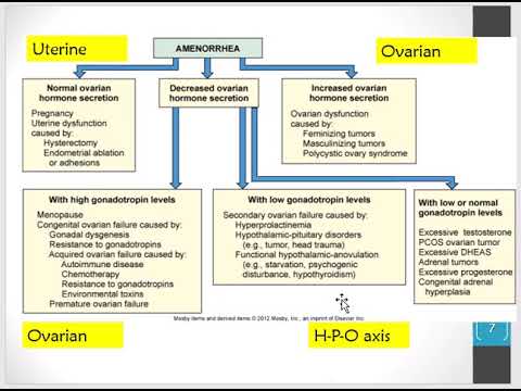 Reproductive Disorders ll