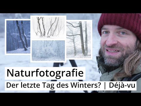 Naturfotografie: Der LETZTE TAG des WINTERS? | Schon wieder ein Déjà-vu