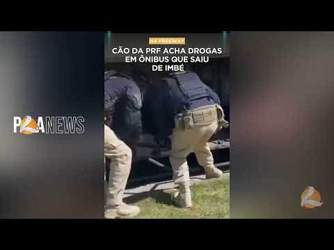 🚨 APREENSÃO NA FREEWAY 🚨