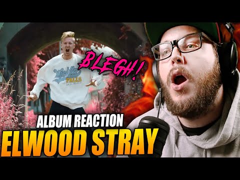 THIS BAND SLAPS!! Elwood Stray - Uncertain Me // Album Review / Reaction